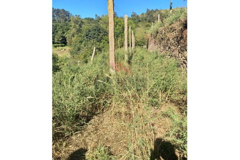 Villa a Padroso, Viana do Castelo, Padroso - € 34.000 | Ref: I-AVV-1735-MG-0920 - foto 13