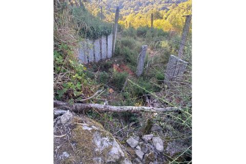 Villa a Padroso, Viana do Castelo, Padroso - € 34.000 | Ref: I-AVV-1735-MG-0920 - foto 14