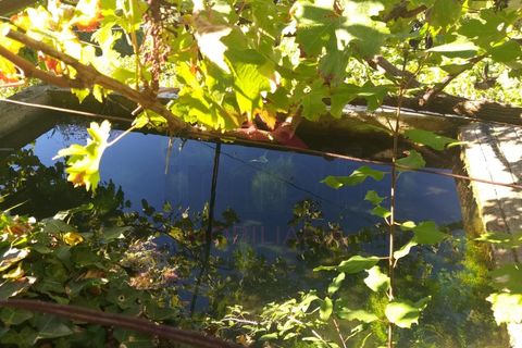 Villa a Padroso, Viana do Castelo, Padroso - € 34.000 | Ref: I-AVV-1735-MG-0920 - foto 19
