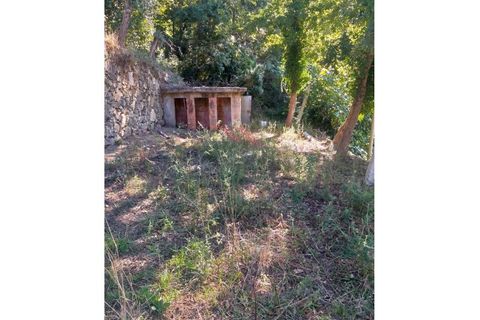 Villa a Padroso, Viana do Castelo, Padroso - € 34.000 | Ref: I-AVV-1735-MG-0920 - foto 20