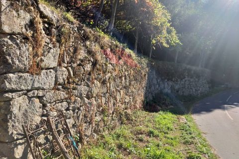 Villa a Padroso, Viana do Castelo, Padroso - € 34.000 | Ref: I-AVV-1735-MG-0920 - foto 22