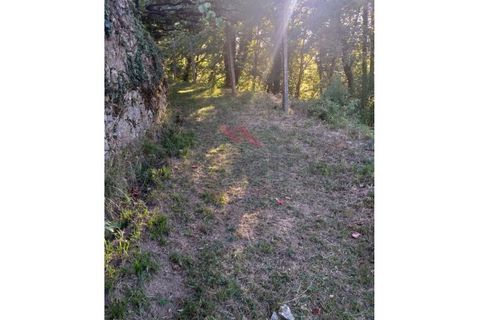 Villa a Padroso, Viana do Castelo, Padroso - € 34.000 | Ref: I-AVV-1735-MG-0920 - foto 23