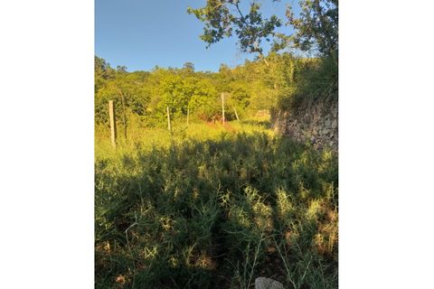 Villa a Padroso, Viana do Castelo, Padroso - € 34.000 | Ref: I-AVV-1735-MG-0920 - foto 24