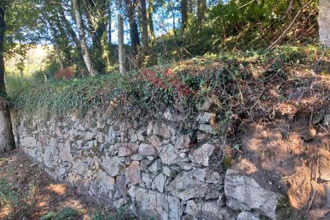 Villa a Padroso, Viana do Castelo, Padroso - € 34.000 | Ref: I-AVV-1735-MG-0920 - foto 25