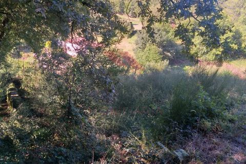 Villa a Padroso, Viana do Castelo, Padroso - € 34.000 | Ref: I-AVV-1735-MG-0920 - foto 26