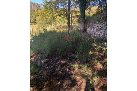 Villa a Padroso, Viana do Castelo, Padroso - € 34.000 | Ref: I-AVV-1735-MG-0920 - foto 27