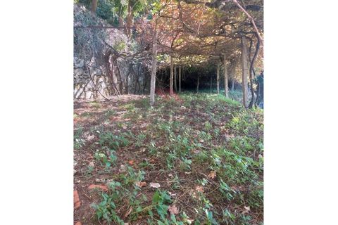 Villa a Padroso, Viana do Castelo, Padroso - € 34.000 | Ref: I-AVV-1735-MG-0920 - foto 28