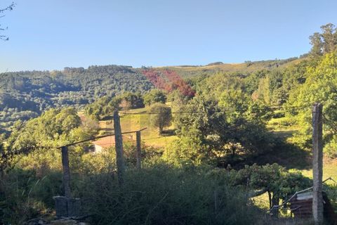 Villa a Padroso, Viana do Castelo, Padroso - € 34.000 | Ref: I-AVV-1735-MG-0920 - foto 29