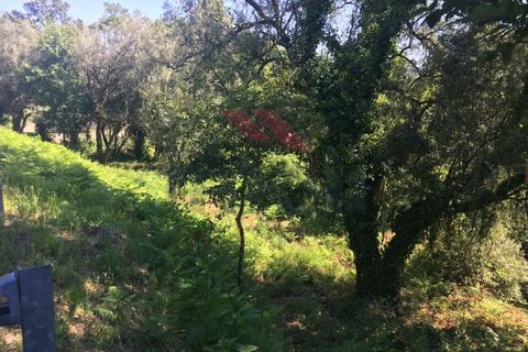 Helårsgrund i Amares, Braga, Amares - € 25.000 | Ref: I-1586-CA-0719 - foto 2