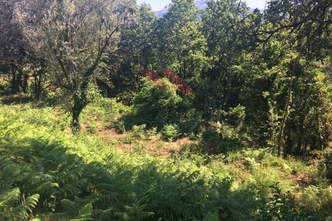 Helårsgrund i Amares, Braga, Amares - € 25.000 | Ref: I-1586-CA-0719 - foto 3
