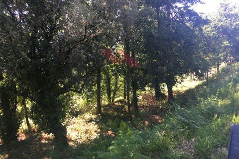 Helårsgrund i Amares, Braga, Amares - € 25.000 | Ref: I-1586-CA-0719 - foto 4