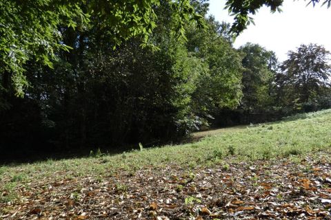 Terra a Brive-la-Gaillarde, Correze, Brive-la-Gaillarde - € 29.500 | Ref: PM3019 - foto 6