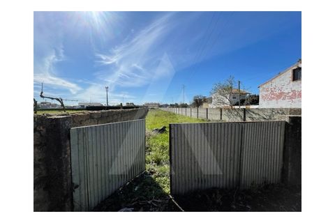 Helårsgrund i Agueda, Aveiro, Agueda - € 30.500 | Ref: 23070/17 AL - foto 6