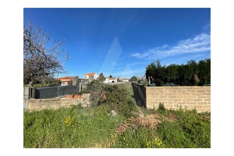 Helårsgrund i Agueda, Aveiro, Agueda - € 30.500 | Ref: 23070/17 AL - foto 8