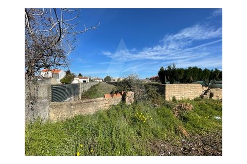 Helårsgrund i Agueda, Aveiro, Agueda - € 30.500 | Ref: 23070/17 AL - foto 9