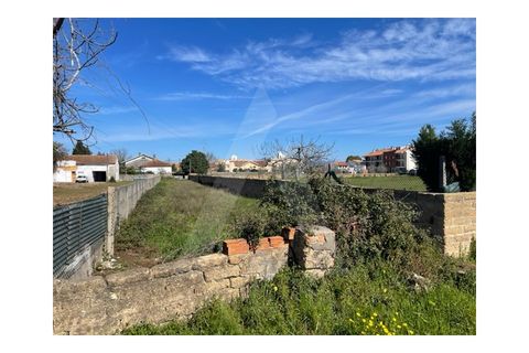 Helårsgrund i Agueda, Aveiro, Agueda - € 30.500 | Ref: 23070/17 AL - foto 11
