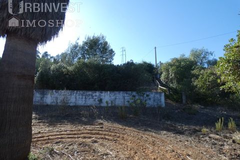 Farm i Silves, Faro, Silves - € 1.200.000 | Ref: AR00324-PT - foto 6