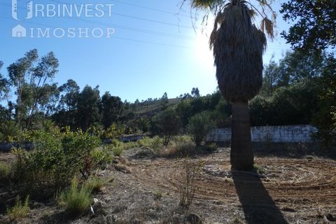 Farm i Silves, Faro, Silves - € 1.200.000 | Ref: AR00324-PT - foto 8