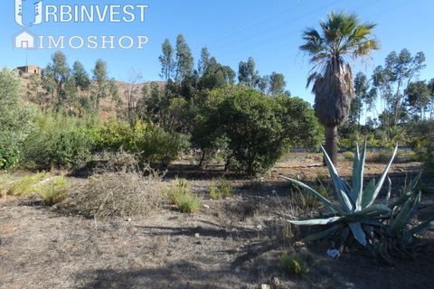 Farm i Silves, Faro, Silves - € 1.200.000 | Ref: AR00324-PT - foto 9