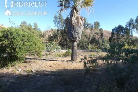 Farm i Silves, Faro, Silves - € 1.200.000 | Ref: AR00324-PT - foto 10