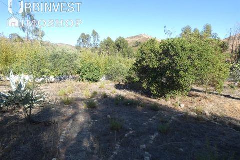Farm i Silves, Faro, Silves - € 1.200.000 | Ref: AR00324-PT - foto 11