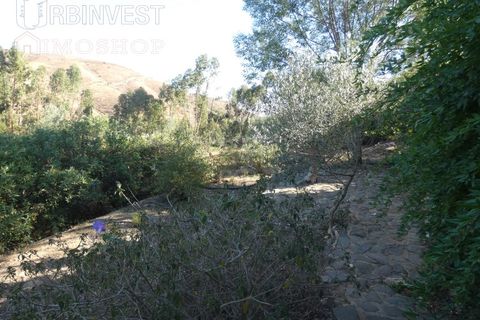 Farm i Silves, Faro, Silves - € 1.200.000 | Ref: AR00324-PT - foto 12