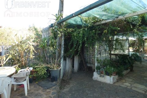 Farm i Silves, Faro, Silves - € 1.200.000 | Ref: AR00324-PT - foto 13
