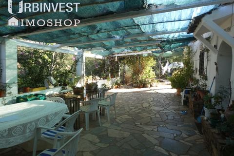 Farm i Silves, Faro, Silves - € 1.200.000 | Ref: AR00324-PT - foto 14