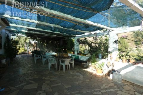Farm i Silves, Faro, Silves - € 1.200.000 | Ref: AR00324-PT - foto 18