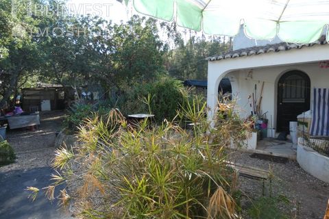 Farm i Silves, Faro, Silves - € 1.200.000 | Ref: AR00324-PT - foto 15