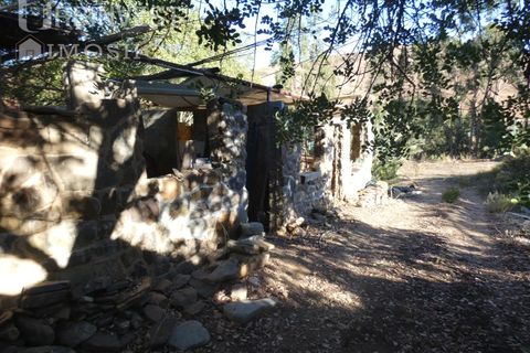 Farm i Silves, Faro, Silves - € 1.200.000 | Ref: AR00324-PT - foto 19