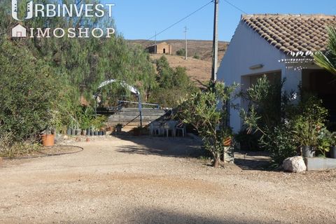 Farm i Silves, Faro, Silves - € 1.200.000 | Ref: AR00324-PT - foto 4