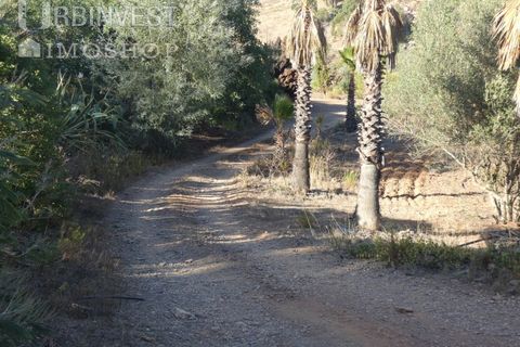 Farm i Silves, Faro, Silves - € 1.200.000 | Ref: AR00324-PT - foto 20