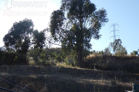 Farm i Silves, Faro, Silves - € 1.200.000 | Ref: AR00324-PT - foto 21