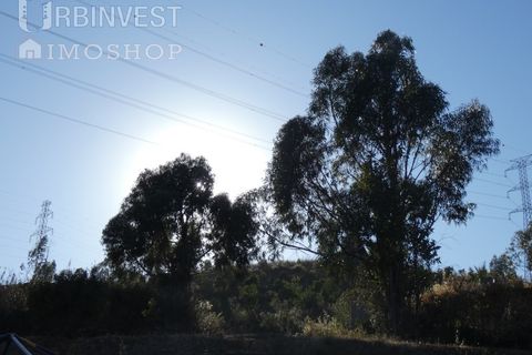 Farm i Silves, Faro, Silves - € 1.200.000 | Ref: AR00324-PT - foto 22