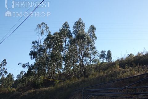 Farm i Silves, Faro, Silves - € 1.200.000 | Ref: AR00324-PT - foto 23