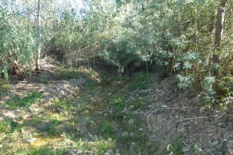 Farm i Silves, Faro, Silves - € 1.200.000 | Ref: AR00324-PT - foto 25