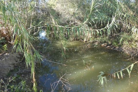 Farm i Silves, Faro, Silves - € 1.200.000 | Ref: AR00324-PT - foto 26