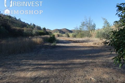 Farm i Silves, Faro, Silves - € 1.200.000 | Ref: AR00324-PT - foto 28