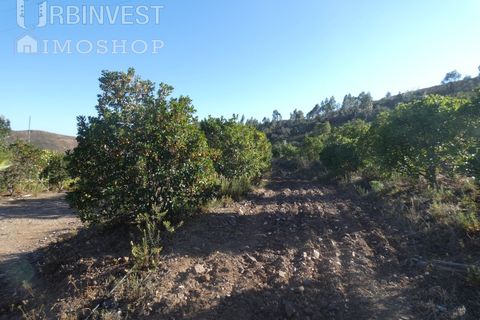 Farm i Silves, Faro, Silves - € 1.200.000 | Ref: AR00324-PT - foto 29