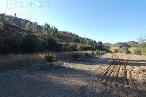 Farm i Silves, Faro, Silves - € 1.200.000 | Ref: AR00324-PT - foto 30