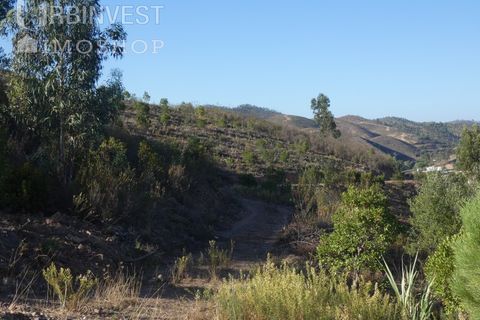Farm i Silves, Faro, Silves - € 1.200.000 | Ref: AR00324-PT - foto 34