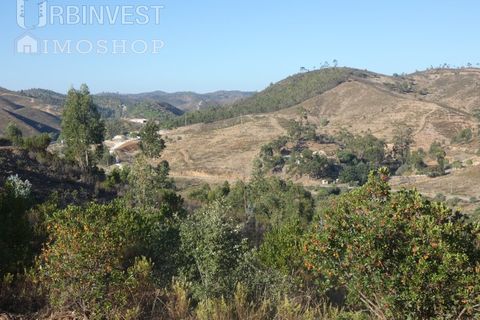 Farm i Silves, Faro, Silves - € 1.200.000 | Ref: AR00324-PT - foto 35