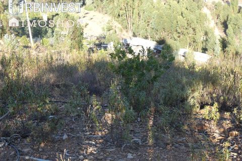 Farm i Silves, Faro, Silves - € 1.200.000 | Ref: AR00324-PT - foto 37