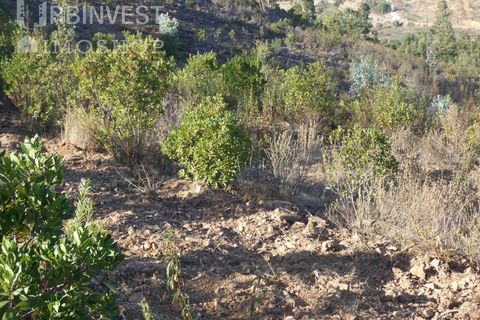 Farm i Silves, Faro, Silves - € 1.200.000 | Ref: AR00324-PT - foto 38
