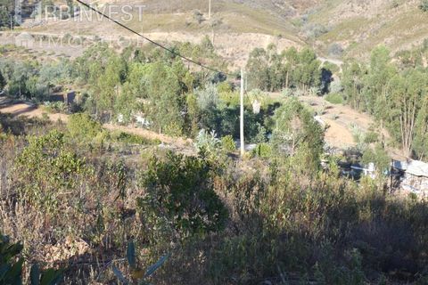 Farm i Silves, Faro, Silves - € 1.200.000 | Ref: AR00324-PT - foto 39