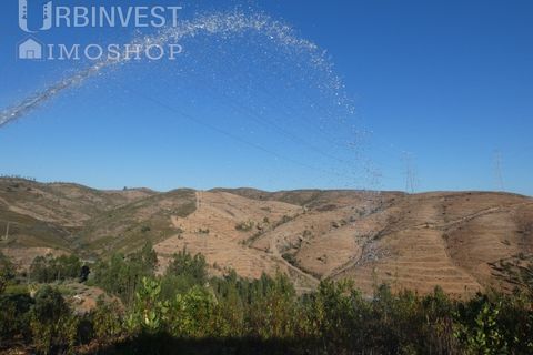 Farm i Silves, Faro, Silves - € 1.200.000 | Ref: AR00324-PT - foto 42