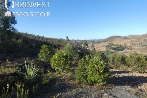 Farm i Silves, Faro, Silves - € 1.200.000 | Ref: AR00324-PT - foto 43