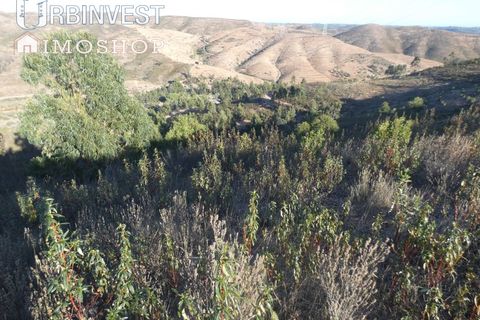 Farm i Silves, Faro, Silves - € 1.200.000 | Ref: AR00324-PT - foto 44
