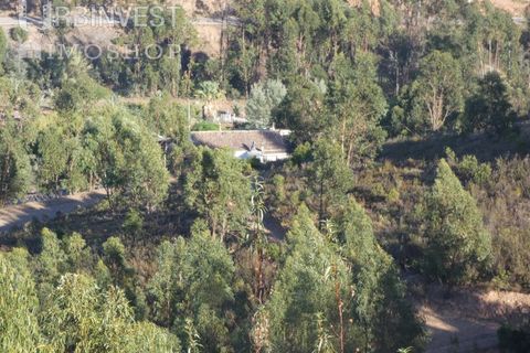 Farm i Silves, Faro, Silves - € 1.200.000 | Ref: AR00324-PT - foto 45